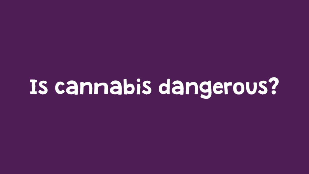 Is cannabis dangerous?