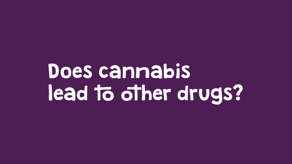 Does cannabis lead to other drugs?