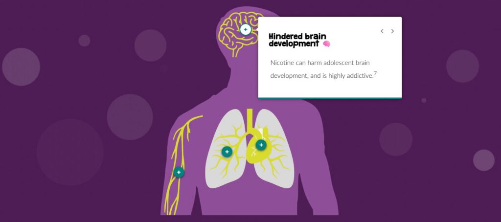 An image from a learning module about nicotine and the brain.